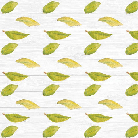 Sweet Foliage Collection F White Modern Wood Framed Art Print by Miller, Dianne