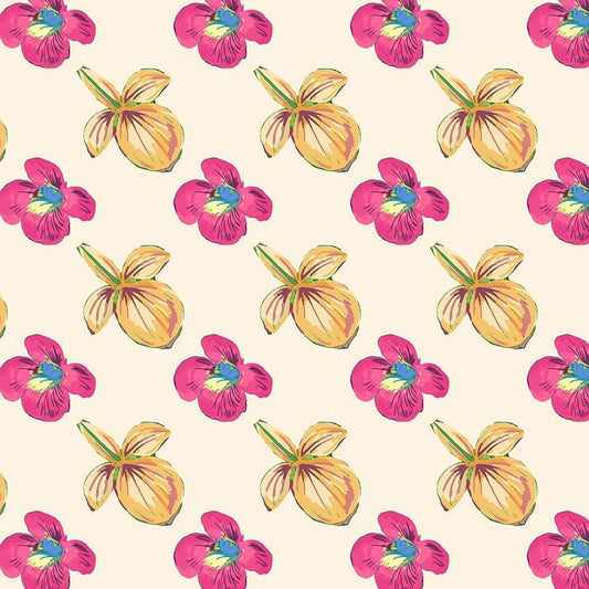 Image Only