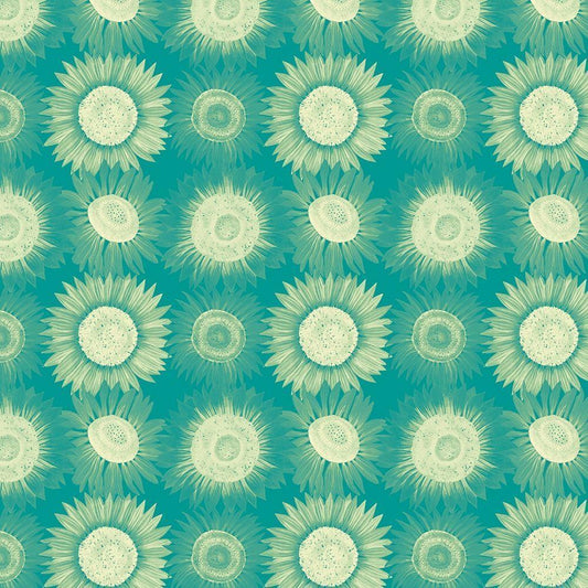 Image Only