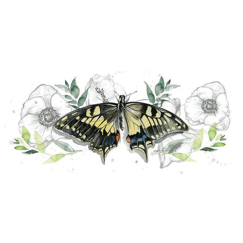 Watercolor Butterfly Collection D White Modern Wood Framed Art Print by Parker, Jennifer Paxton