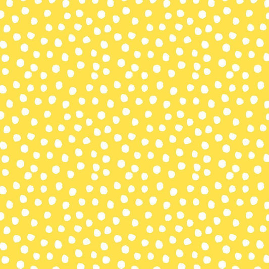 Image Only