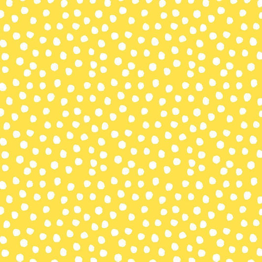 Image Only