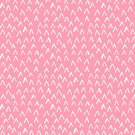 Image Only