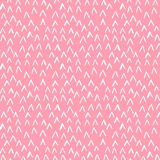 Image Only