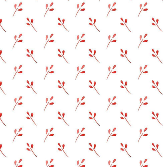 Image Only