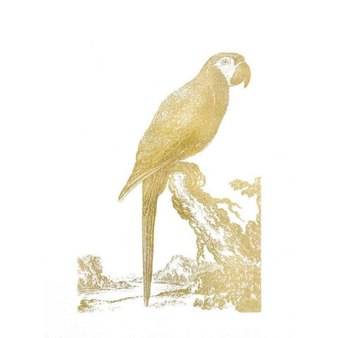 Gold Foil Parrot I White Modern Wood Framed Art Print by Edwards