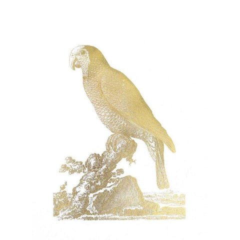 Gold Foil Parrot II White Modern Wood Framed Art Print by Edwards