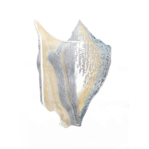 Silver Foil Shell III with Hand Color White Modern Wood Framed Art Print by Vision Studio