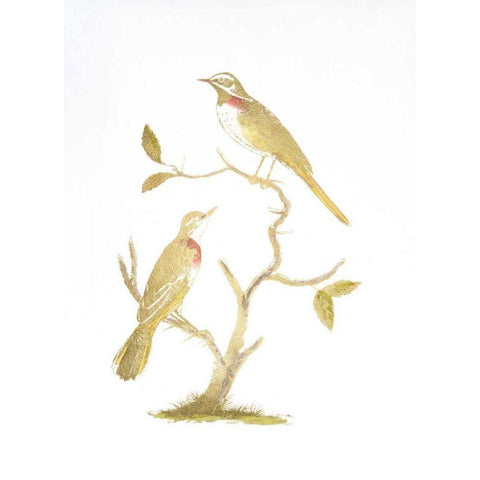 Gold Foil Birds II with Hand Color Black Modern Wood Framed Art Print with Double Matting by Nozeman