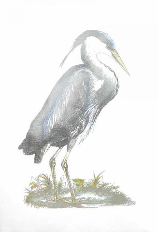 Silver Foil Heron I with Hand Color White Modern Wood Framed Art Print with Double Matting by Selby, John