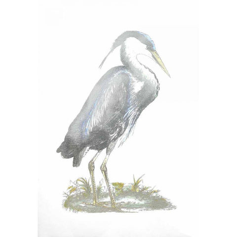 Silver Foil Heron I with Hand Color Black Modern Wood Framed Art Print with Double Matting by Selby, John