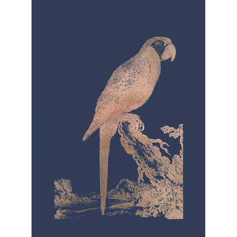 Rose Gold Foil Parrot I on Imperial Blue White Modern Wood Framed Art Print by Edwards