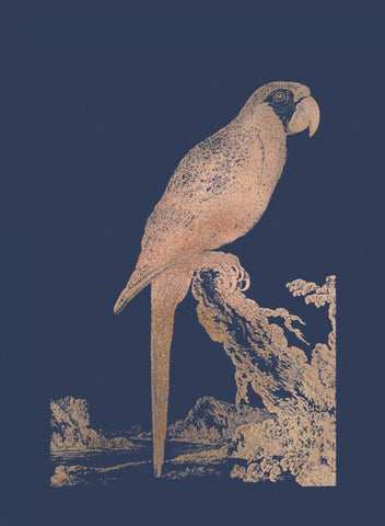 Rose Gold Foil Parrot I on Imperial Blue White Modern Wood Framed Art Print with Double Matting by Edwards