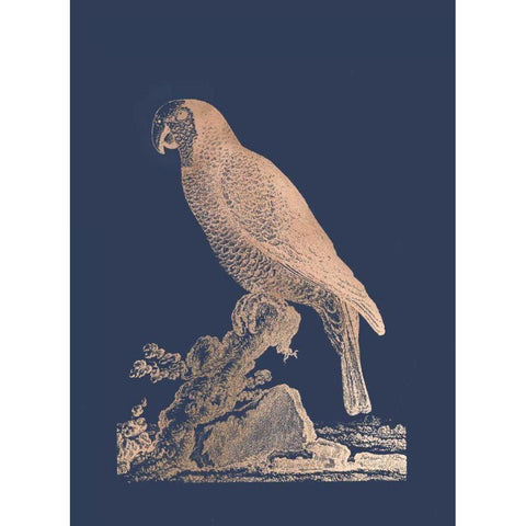 Rose Gold Foil Parrot II on Imperial Blue Gold Ornate Wood Framed Art Print with Double Matting by Edwards