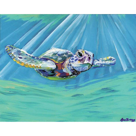 Turtle Black Modern Wood Framed Art Print with Double Matting by Seay, Anne