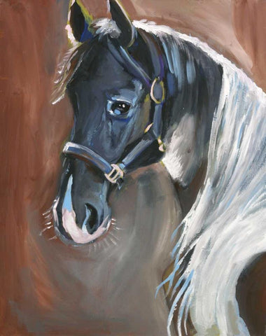 Horse Black Ornate Wood Framed Art Print with Double Matting by Seay, Anne