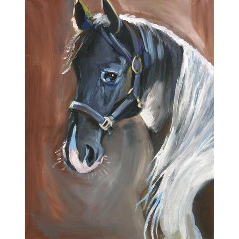 Horse Black Modern Wood Framed Art Print by Seay, Anne