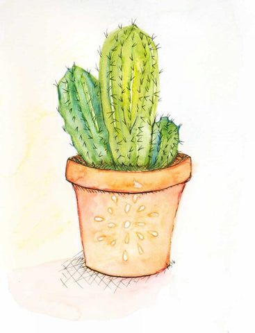 Cactus II White Modern Wood Framed Art Print with Double Matting by Seay, Anne