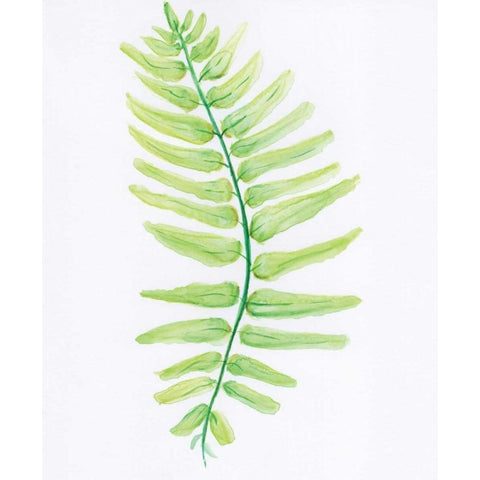 Fern Black Modern Wood Framed Art Print with Double Matting by Seay, Anne
