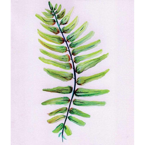 Blue Fern Black Modern Wood Framed Art Print with Double Matting by Seay, Anne