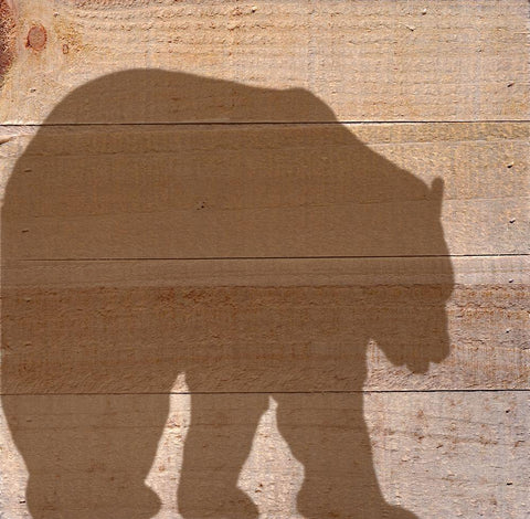 Black Bear White Modern Wood Framed Art Print with Double Matting by Seay, Anne