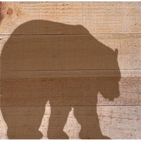 Black Bear Gold Ornate Wood Framed Art Print with Double Matting by Seay, Anne