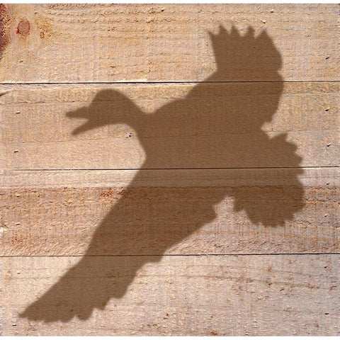 Duck Black Modern Wood Framed Art Print with Double Matting by Seay, Anne