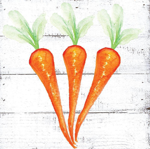 Farm Fresh Carrots White Modern Wood Framed Art Print with Double Matting by Seay, Anne
