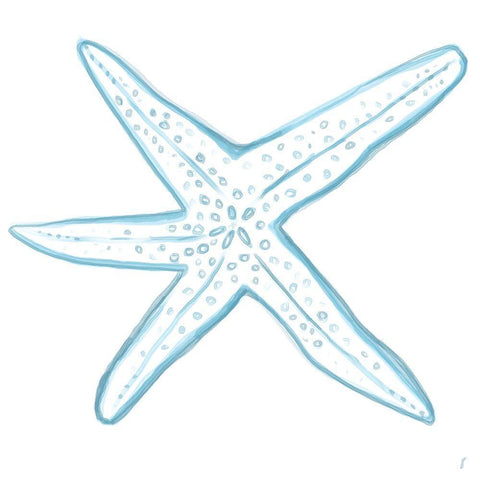 Starfish Black Modern Wood Framed Art Print with Double Matting by Seay, Anne