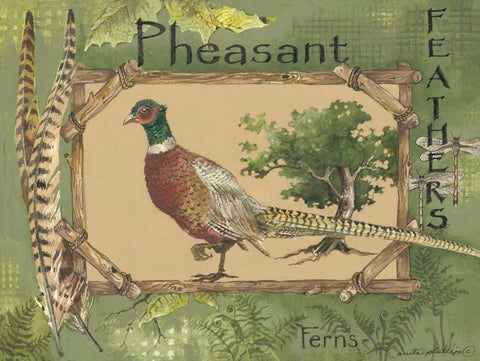 Pheasant White Modern Wood Framed Art Print with Double Matting by Phillips, Anita