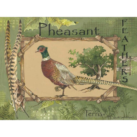 Pheasant Black Modern Wood Framed Art Print by Phillips, Anita