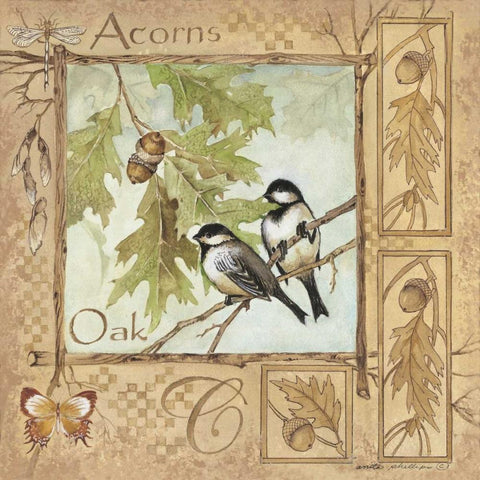 Acorns Black Ornate Wood Framed Art Print with Double Matting by Phillips, Anita