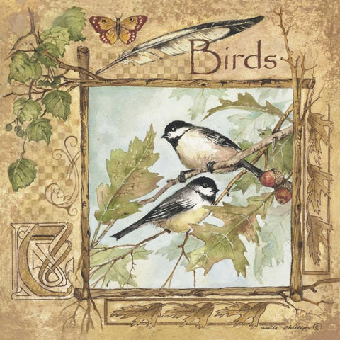 Birds White Modern Wood Framed Art Print by Phillips, Anita