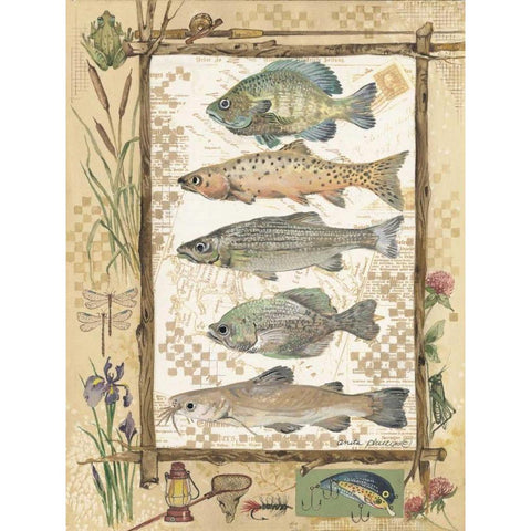 Fish Sampler White Modern Wood Framed Art Print by Phillips, Anita