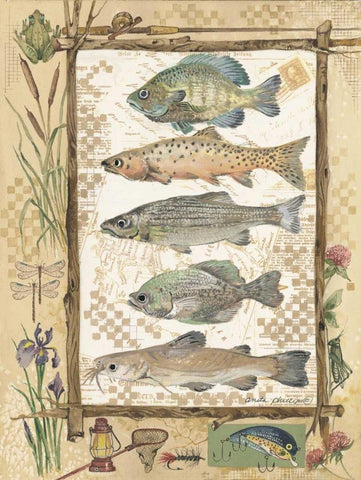Fish Sampler Black Ornate Wood Framed Art Print with Double Matting by Phillips, Anita