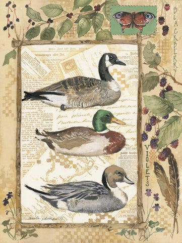 Three Ducks Black Ornate Wood Framed Art Print with Double Matting by Phillips, Anita