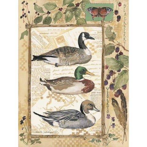 Three Ducks White Modern Wood Framed Art Print by Phillips, Anita