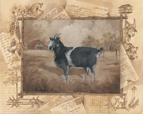 Goat Black Ornate Wood Framed Art Print with Double Matting by Phillips, Anita