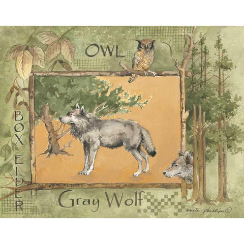 Gray Wolf White Modern Wood Framed Art Print by Phillips, Anita