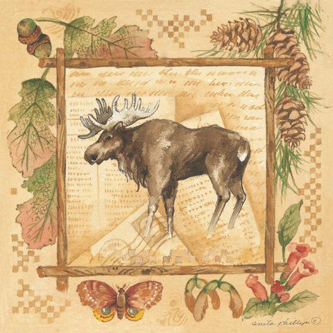 Moose Black Ornate Wood Framed Art Print with Double Matting by Phillips, Anita