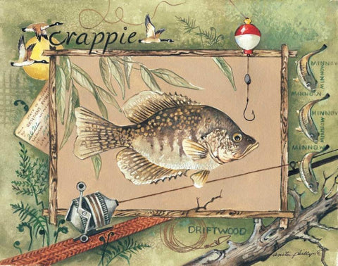 Crappie Black Ornate Wood Framed Art Print with Double Matting by Phillips, Anita