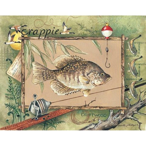 Crappie Black Modern Wood Framed Art Print by Phillips, Anita