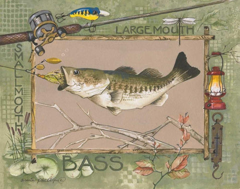 Large Mouth Bass White Modern Wood Framed Art Print with Double Matting by Phillips, Anita