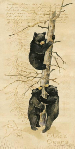 Black Bears White Modern Wood Framed Art Print with Double Matting by Phillips, Anita