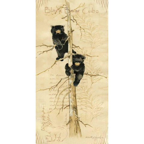 Black Bears Cubs White Modern Wood Framed Art Print by Phillips, Anita