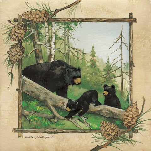 Black Bears IV Gold Ornate Wood Framed Art Print with Double Matting by Phillips, Anita