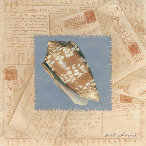 Marbled Cone White Modern Wood Framed Art Print with Double Matting by Phillips, Anita