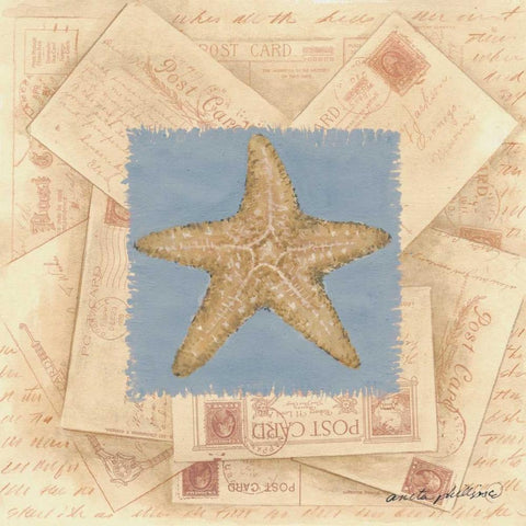 Starfish Postcard White Modern Wood Framed Art Print by Phillips, Anita