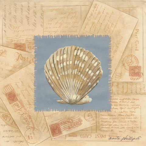 Fan Shell Postcard Gold Ornate Wood Framed Art Print with Double Matting by Phillips, Anita