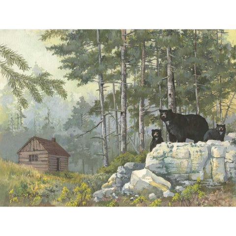 Bears Cabin Black Modern Wood Framed Art Print with Double Matting by Phillips, Anita